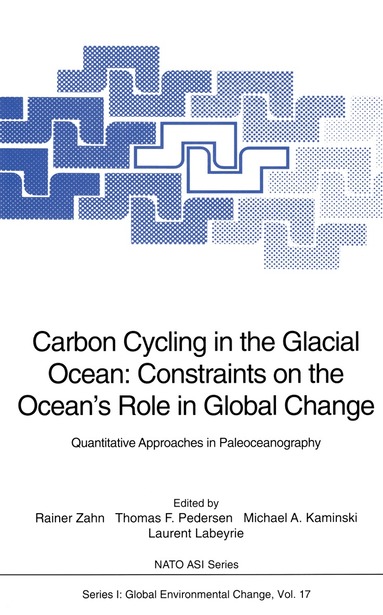 Rainer Zahn, Thomas F. Pedersen, Michael A. Kaminski, Laurent Labeyrie - Carbon Cycling in the Glacial Ocean: Constraints on the Ocean’s Role in Global Change, Häftad