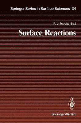 bokomslag Surface Reactions