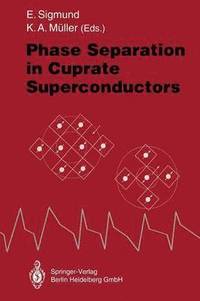 bokomslag Phase Separation in Cuprate Superconductors