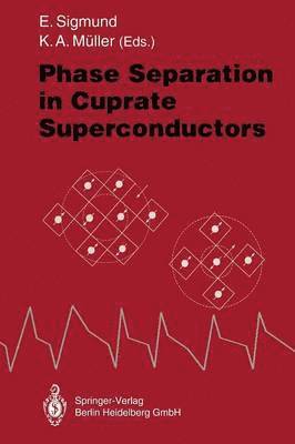 Ernst Sigmund, K.Alex Müller, K. Alex Müller, K. Alex Muller - Phase Separation in Cuprate Superconductors, Häftad