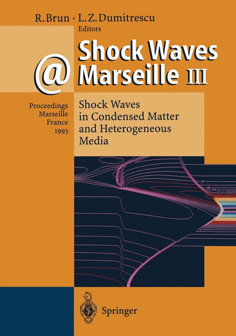 Raymond Brun, Lucien Z. Dumitrescu - Shock Waves @ Marseille III, Häftad