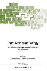 bokomslag Plant Molecular Biology