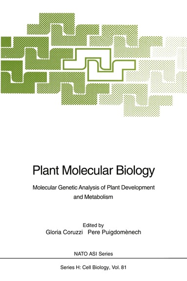 Gloria Coruzzi, Pere Puigdomenech - Plant Molecular Biology, Häftad