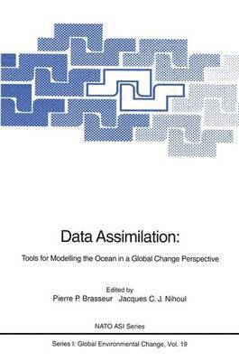 bokomslag Data Assimilation