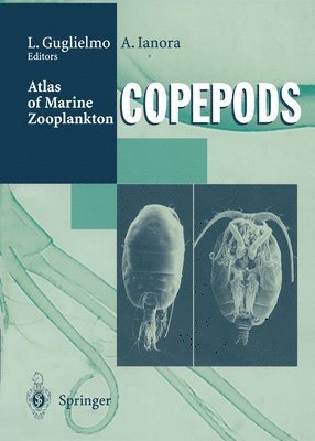 Atlas of Marine Zooplankton Straits of Magellan 1