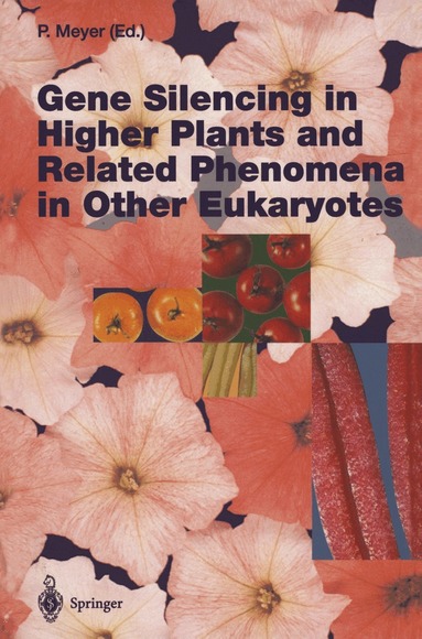 Peter Meyer - Gene Silencing in Higher Plants and Related Phenomena in Other Eukaryotes, Häftad