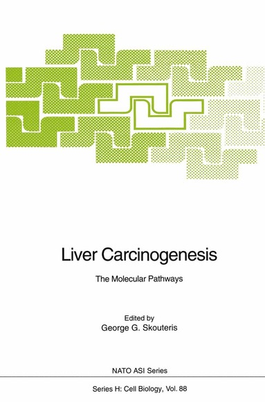 bokomslag Liver Carcinogenesis