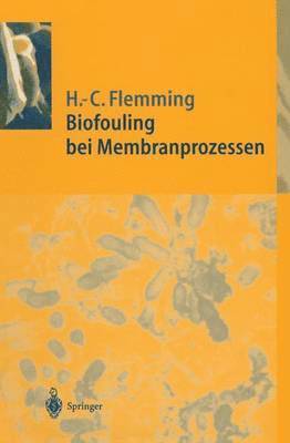 bokomslag Biofouling bei Membranprozessen