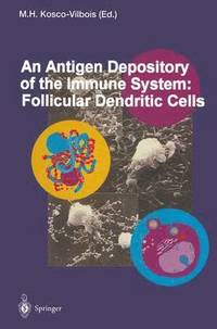 bokomslag An Antigen Depository of the Immune System: Follicular Dendritic Cells
