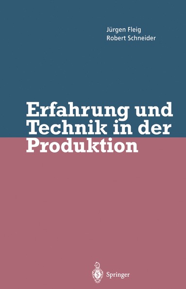 bokomslag Erfahrung und Technik in der Produktion