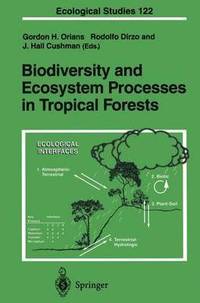 bokomslag Biodiversity and Ecosystem Processes in Tropical Forests