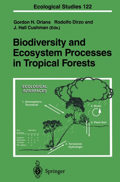 Gordon H. Orians, Rodolfo Dirzo, J. Hall Cushman - Biodiversity and Ecosystem Processes in Tropical Forests, Häftad