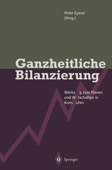 bokomslag Ganzheitliche Bilanzierung