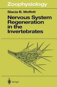 bokomslag Nervous System Regeneration in the Invertebrates