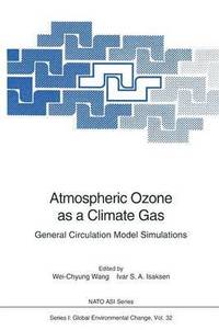 bokomslag Atmospheric Ozone as a Climate Gas