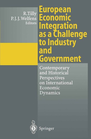 bokomslag European Economic Integration as a Challenge to Industry and Government