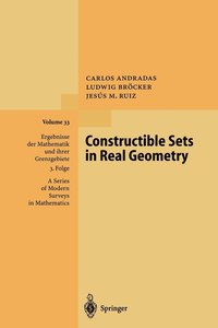 bokomslag Constructible Sets in Real Geometry