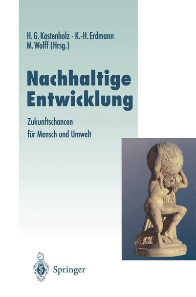 Hans G. Kastenholz, Karl-Heinz Erdmann, Manfred Wolff - Nachhaltige Entwicklung, Häftad