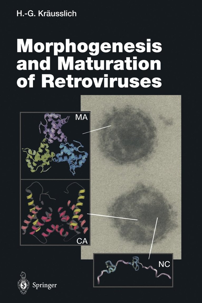 Morphogenesis and Maturation of Retroviruses