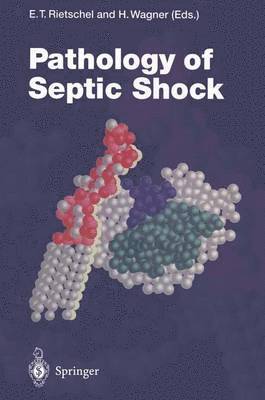 bokomslag Pathology of Septic Shock
