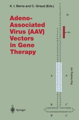 Adeno-Associated Virus (AAV) Vectors in Gene Therapy 1
