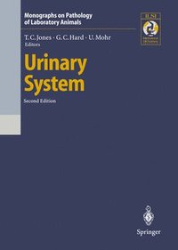 bokomslag Urinary System