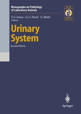 Urinary System 1