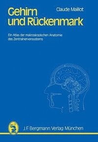 bokomslag Gehirn und Rckenmark