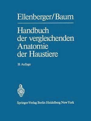 bokomslag Handbuch der vergleichenden Anatomie der Haustiere