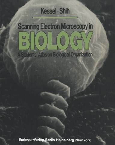 bokomslag Scanning Electron Microscopy in BIOLOGY