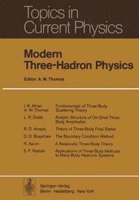 bokomslag Modern Three-Hadron Physics