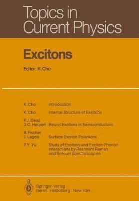 K. Cho - Excitons, Häftad