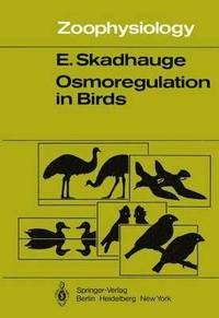 bokomslag Osmoregulation in Birds