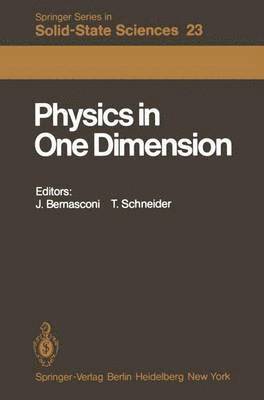 J. Bernasconi, T. Schneider - Physics in One Dimension, Häftad