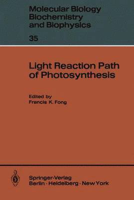 Light Reaction Path of Photosynthesis