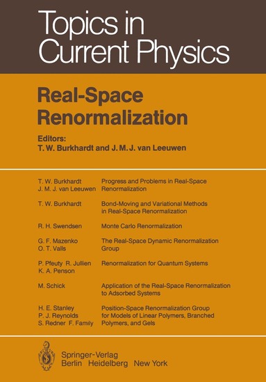 T.W. Burkhardt, J.M.J. van Leeuwen - Real-Space Renormalization, Häftad