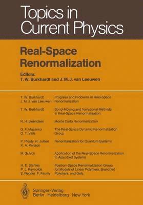 bokomslag Real-Space Renormalization