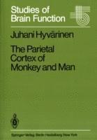 bokomslag The Parietal Cortex of Monkey and Man