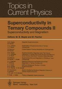bokomslag Superconductivity in Ternary Compounds II