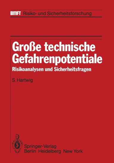 S. Hartwig - Große technische Gefahrenpotentiale, Häftad