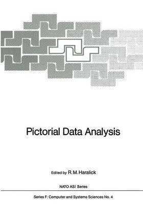 bokomslag Pictorial Data Analysis