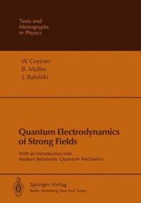 bokomslag Quantum Electrodynamics of Strong Fields