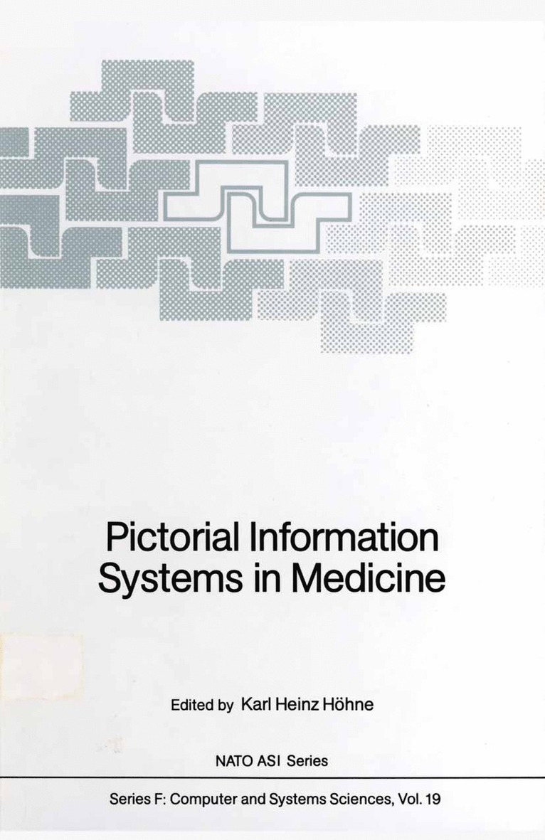 Karl H. Höhne - Pictorial Information Systems in Medicine, Häftad