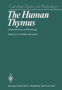 bokomslag The Human Thymus