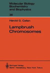 bokomslag Lampbrush Chromosomes