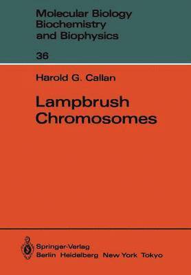 bokomslag Lampbrush Chromosomes