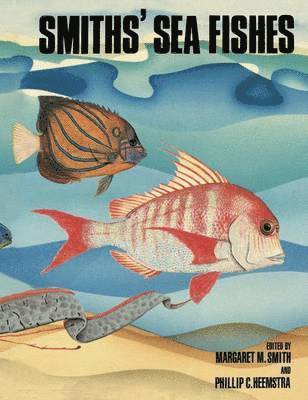 Smiths' Sea Fishes 1