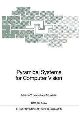 Pyramidal Systems for Computer Vision 1