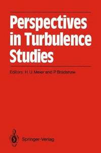 bokomslag Perspectives in Turbulence Studies