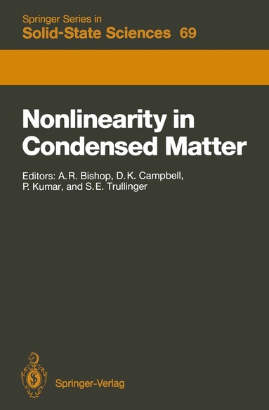 Alan R. Bishop, David K. Campbell, Steven E. Trullinger, Pradeep Kumar - Nonlinearity in Condensed Matter, Häftad